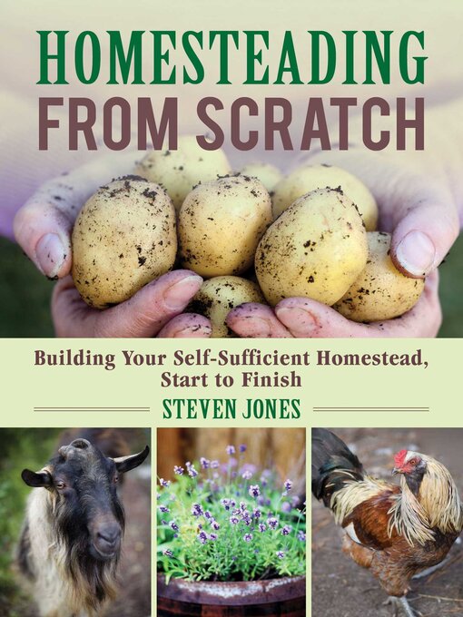 Title details for Homesteading From Scratch by Steven Jones - Available
